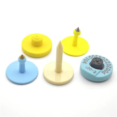 Clib Cluas Ainmhithe